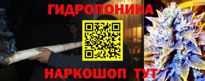 mdpv Усть-Джегута