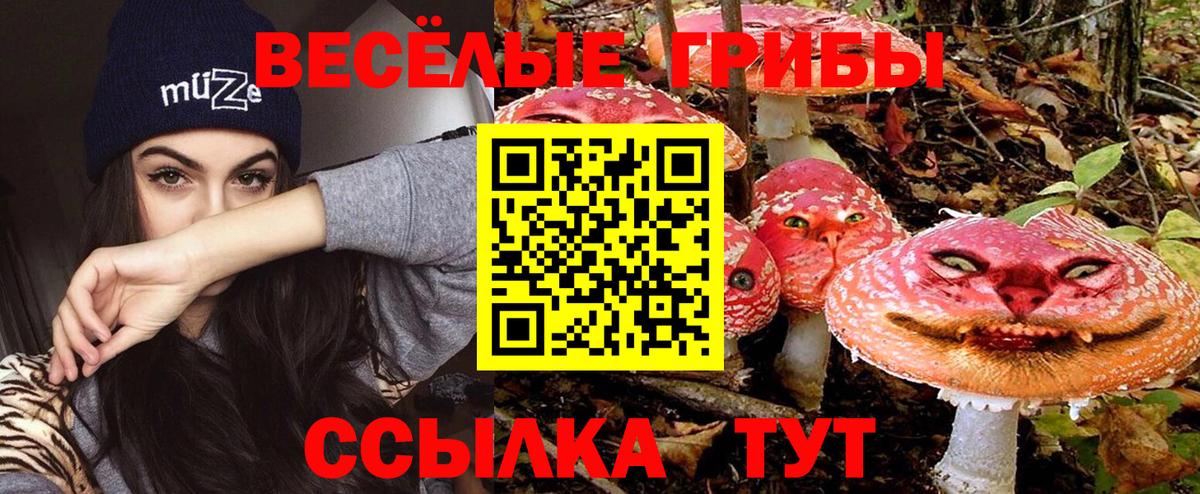 Псилоцибиновые грибы мухоморы  Вход с VPN  Муравленко 