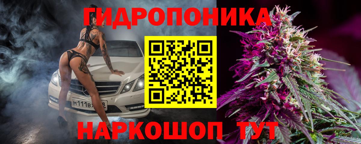 Шишки марихуана OG Kush  МАРИХУАНА сатива  Вход с VPN  Муравленко  МАРИХУАНА тримм  Бошки марихуана SATIVA & INDICA 